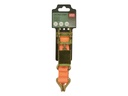 Carpoint Ratel Spanband en Haken 7 Meter