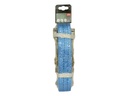 Carpoint Spanband met Ratel en Haken 5 Meter