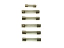 Carpoint Glaszekering Assortiment 8-30A 6 Stuks