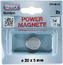 Connex Magneet Neodym Rond 20X5 2St 11Kg - DY7100004