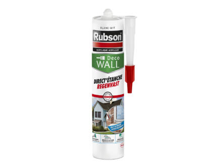 Rubson Schilderskit Regenvast Acrylaat Wit 280ml
