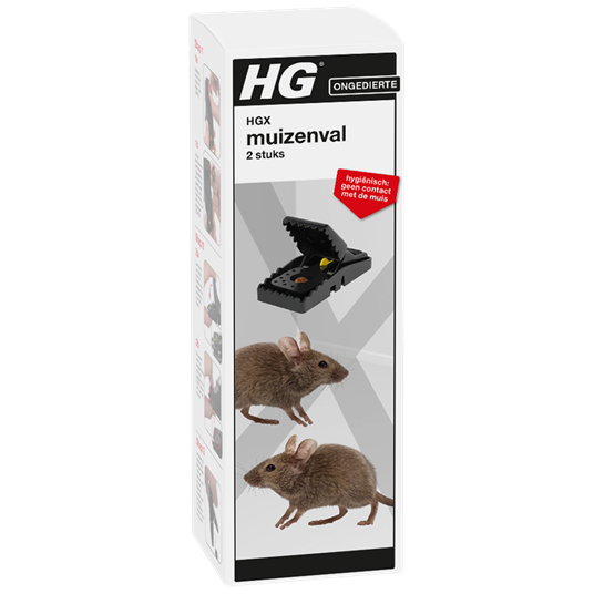 HGX MUIZENVAL 2ST