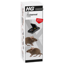 HGX MUIZENVAL 2ST