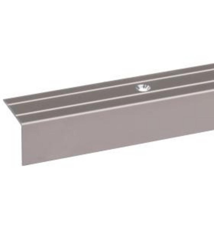 Trapprofiel RVS 24X20mm 190cm 