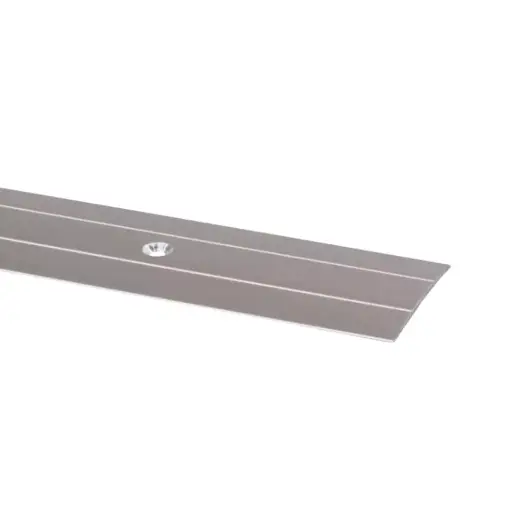 [123122139] Overgangsprofiel Gelijkvloers RVS Schroef 38mm 95cm