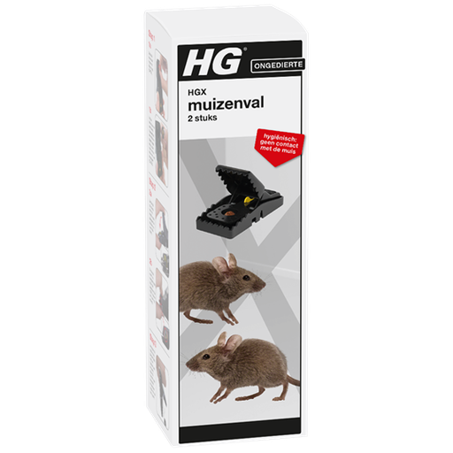 [628002103] HGX MUIZENVAL 2ST