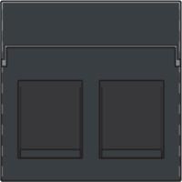 [NI12265200] NIKO Plaatje Data 2x RJ, anthracite 122-65200