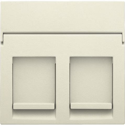 [NI10065200] NIKO Plaatje Data 2x RJ, cream 100-65200