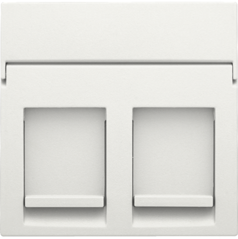[NI10165200] NIKO Plaatje Data 2x RJ, white 101-65200