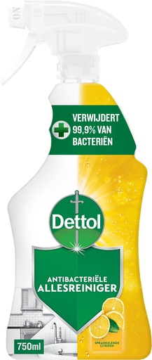 Dettol Spray Allesreiniger 750ml Sparkling Lemon