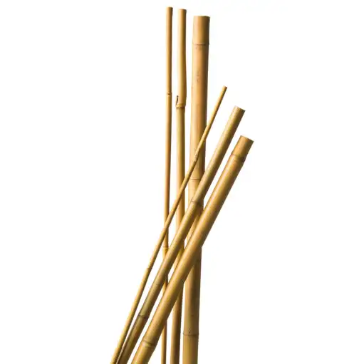[07BAM15] Bamboesteunstokken 150cm (3st) 